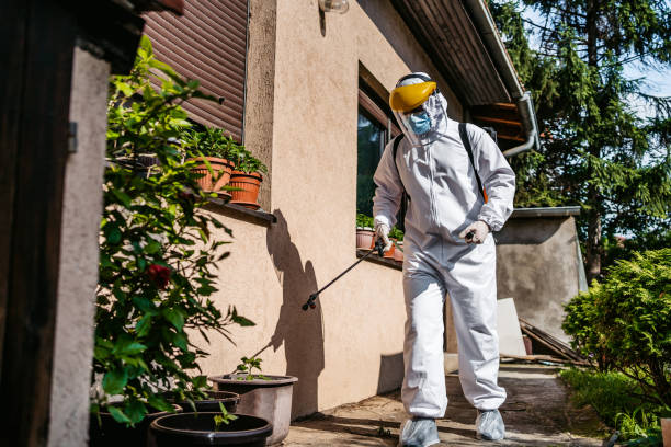 Reliable St Cloud, FL Pest Control Solutions