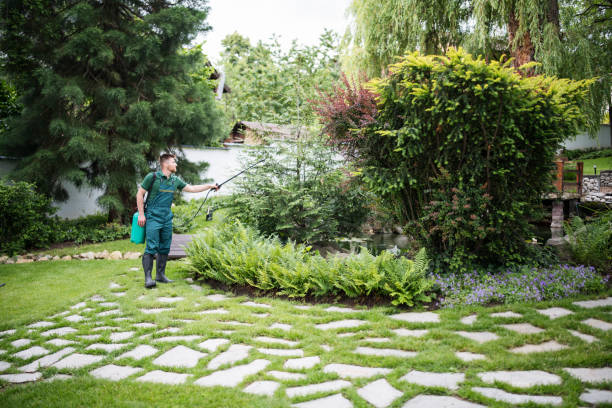 Best Ant Control Services  in St Cloud, FL