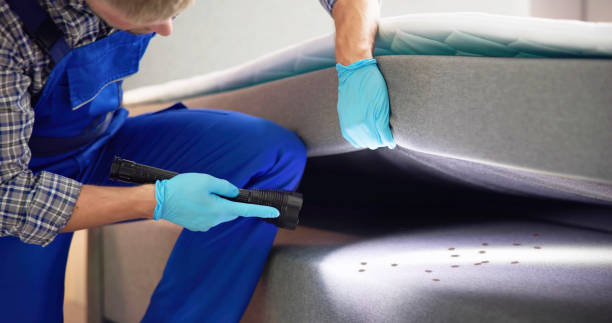 Best Termite Control Services  in St Cloud, FL